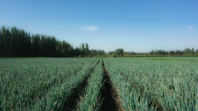 微信图片_20220909153200