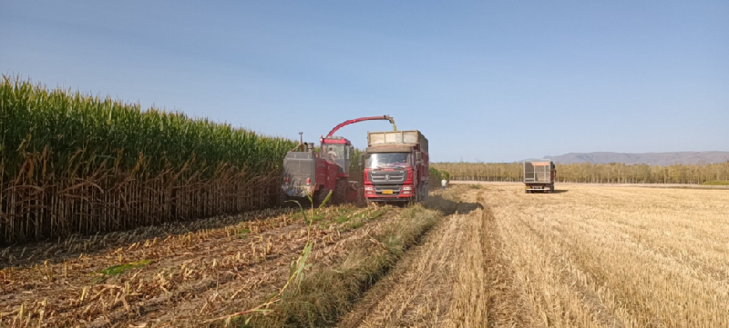 D:\Backup\Desktop\天津消费节\特克斯县：疫情防控不放松 农业生产不误时\特克斯县：疫情防控不放松 农业生产不误时\特克斯县：疫情防控不放松 农业生产不误时.files\特克斯县：疫情防控不放松 农业生产不误时401.png