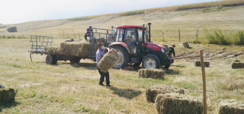 D:\Backup\Desktop\天津消费节\特克斯县：疫情防控不放松 农业生产不误时\特克斯县：疫情防控不放松 农业生产不误时\特克斯县：疫情防控不放松 农业生产不误时.files\特克斯县：疫情防控不放松 农业生产不误时820.png