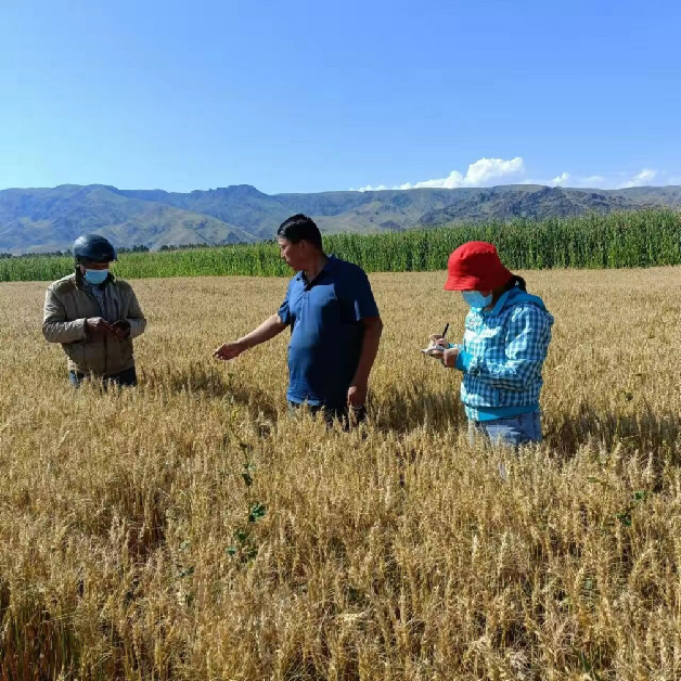 D:\Backup\Desktop\天津消费节\特克斯县：疫情防控不放松 农业生产不误时\特克斯县：疫情防控不放松 农业生产不误时\特克斯县：疫情防控不放松 农业生产不误时.files\特克斯县：疫情防控不放松 农业生产不误时1460.png