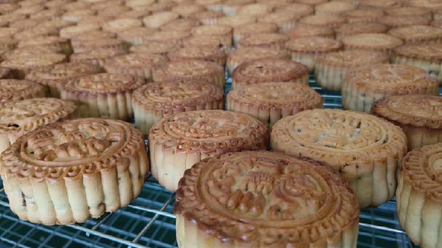 8a5faa09423d26e5b8adb83900145aa