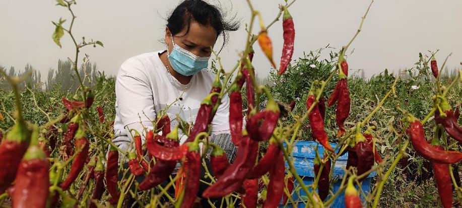 微信图片_20220914133256