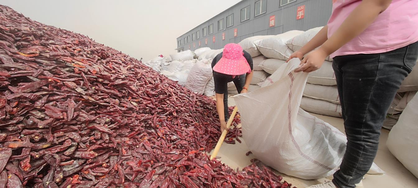 微信图片_20220914133301