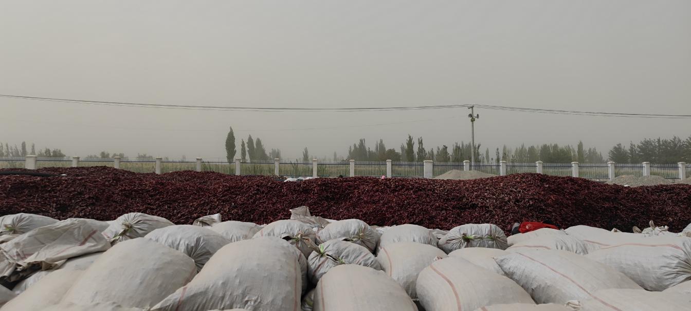 微信图片_20220914133250