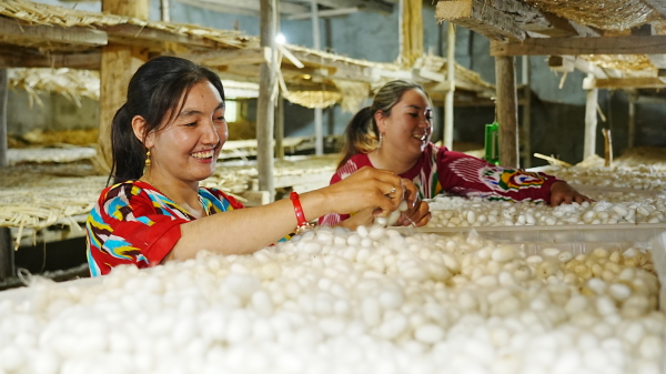 d815da132849b1cbfb7eb10e2b86b9f