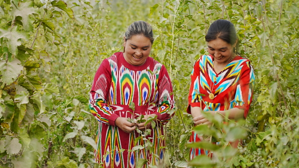 7f285c568faec318da2d8081d2e73be