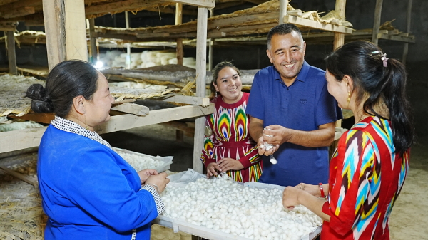 fe6470a243ff4d3f9726e55b9b1df5d