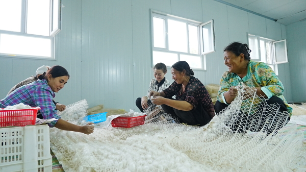 339f55853ac69ffa8deecfa4b586b32