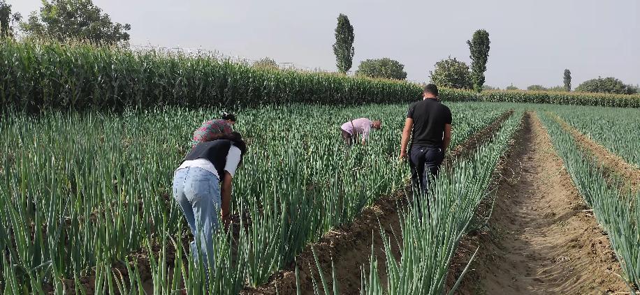 微信图片_20220923164446