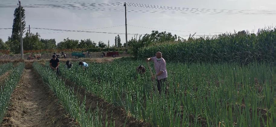 微信图片_202209231644466