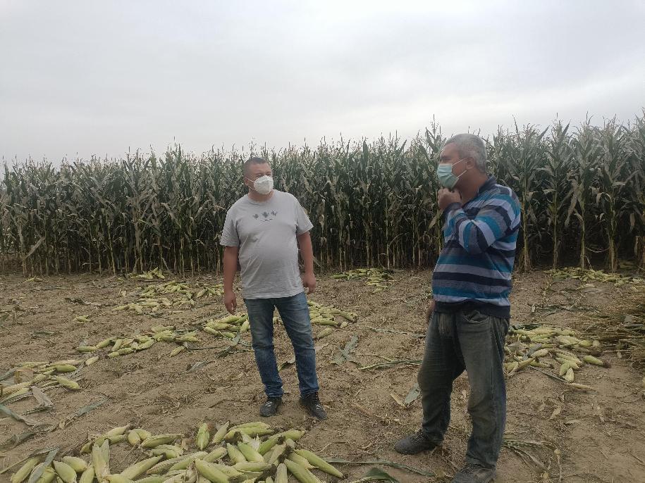 微信图片_202210011941052