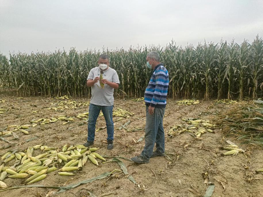 微信图片_202210011941051