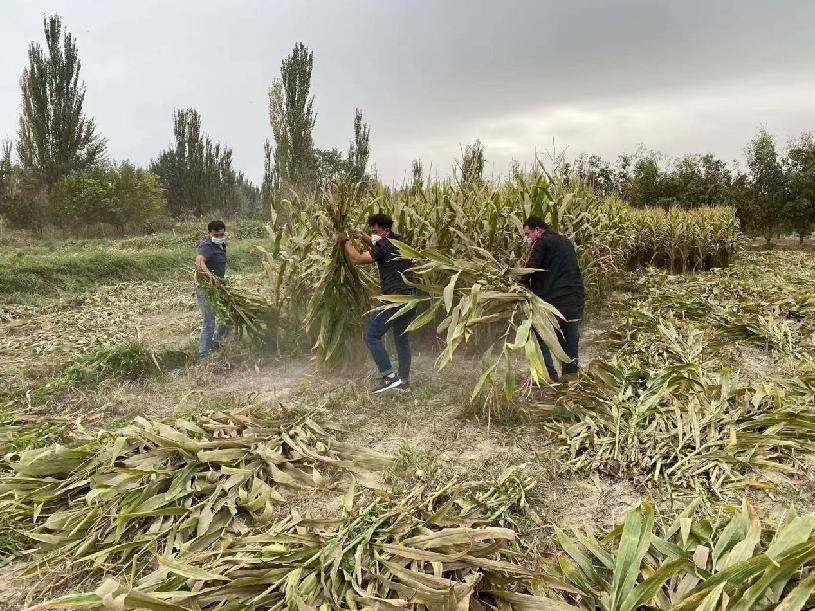 微信图片_20221003121531