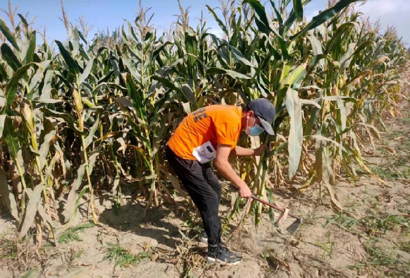 微信图片_20221003121552