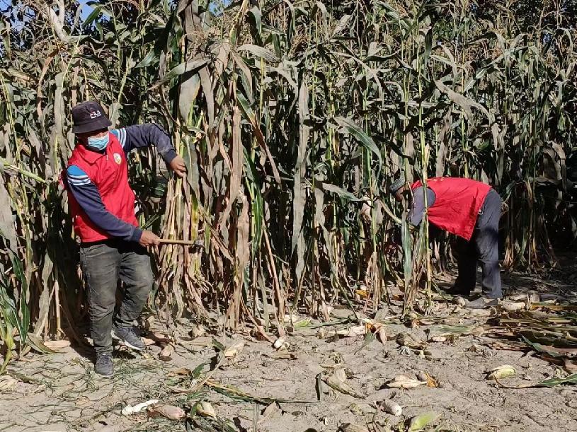 微信图片_20221003121624