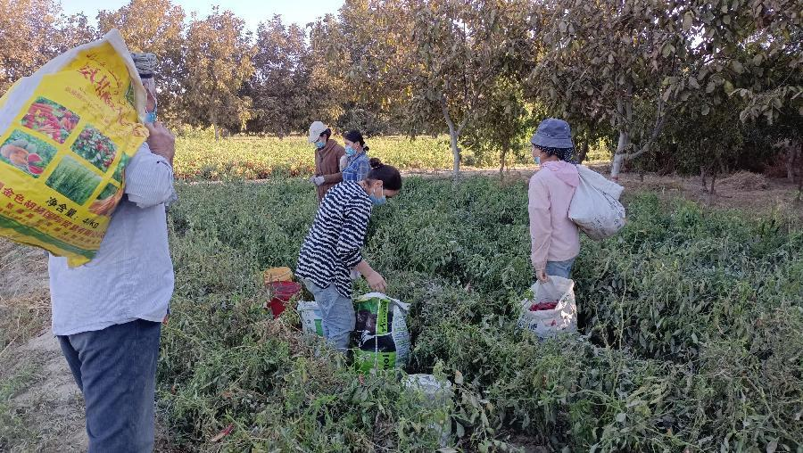 微信图片_20221009005529