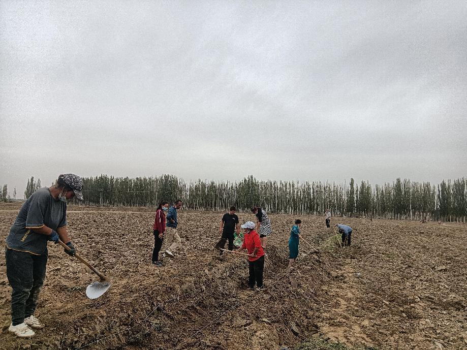 微信图片_20221009005546