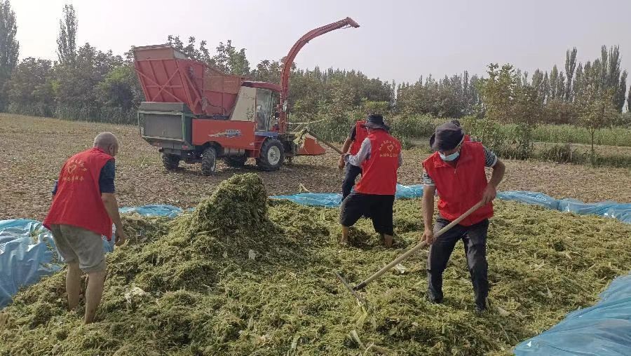 微信图片_20221009005518