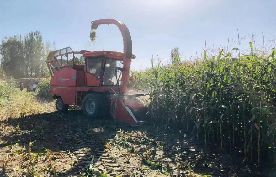 微信图片_20221009005533