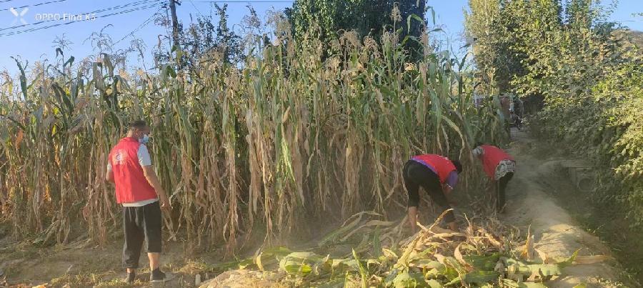 微信图片_20221009005542