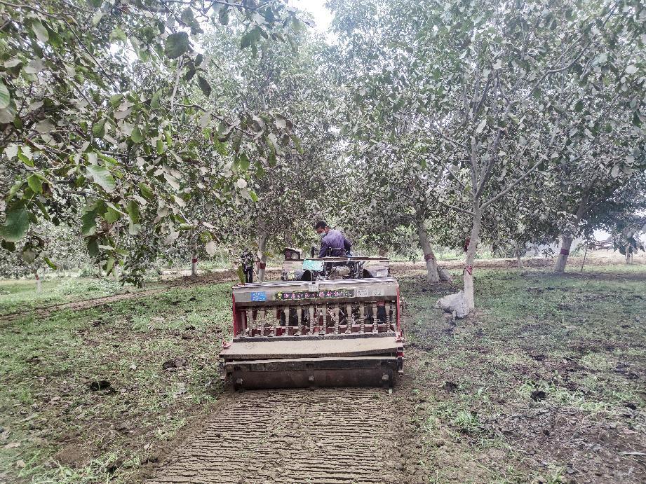 【修图】mmexport1665297914808