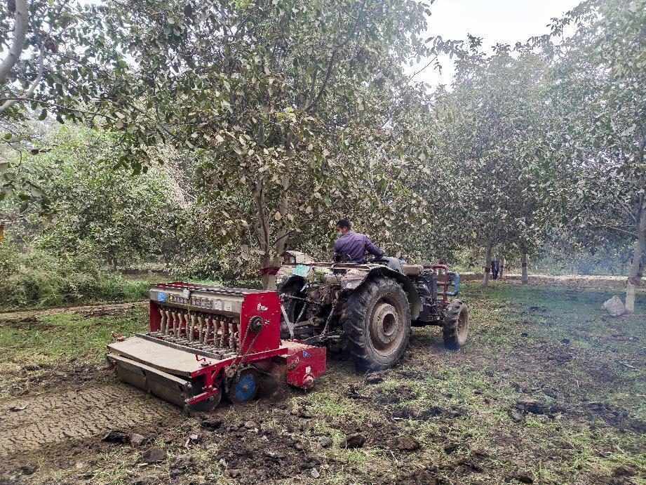 【修图】mmexport1665297906935