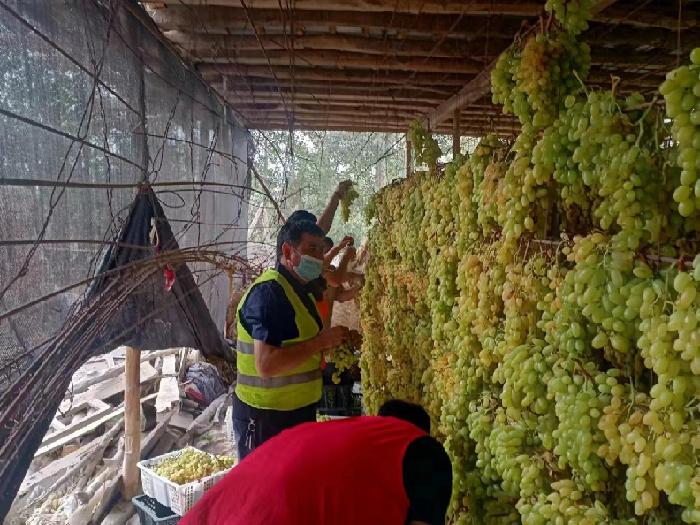 微信图片_20221026140037