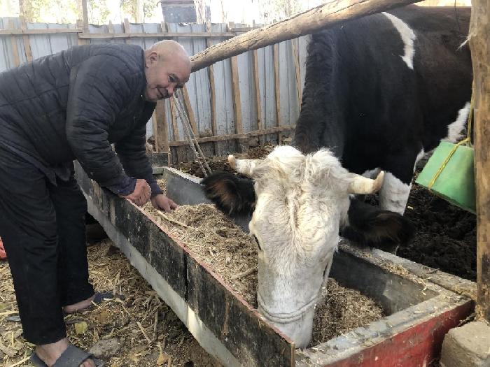 66a480c8acee87cc3e9869de18934af