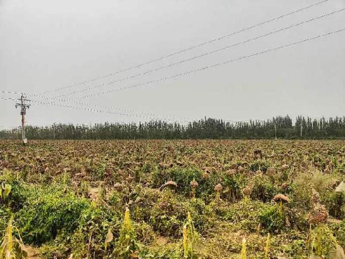 dd91a36344f693d299dc0a463334ef1e_