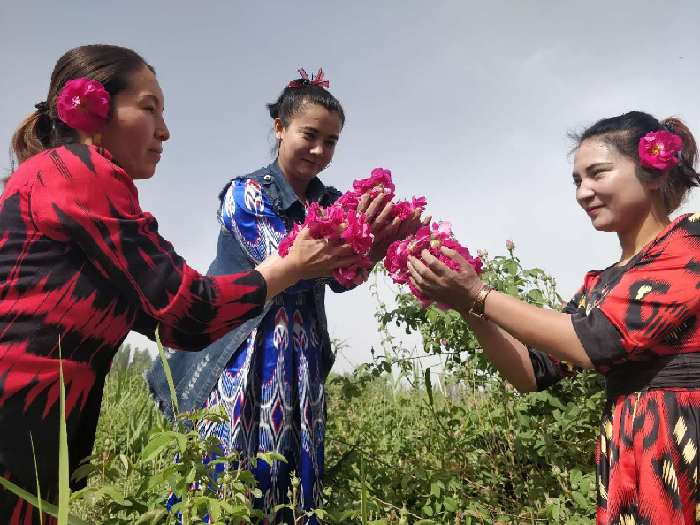 微信图片_20190508180123