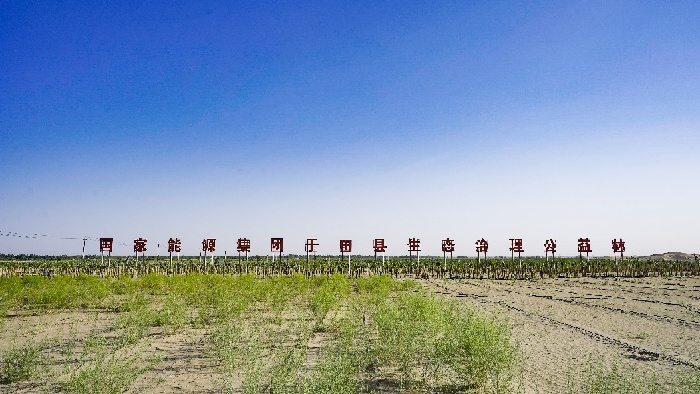 图9为国家能源集团资助的新疆于田县万亩生态林