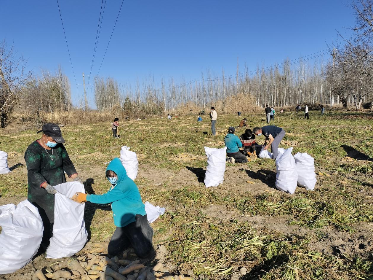 微信图片_20221123171525