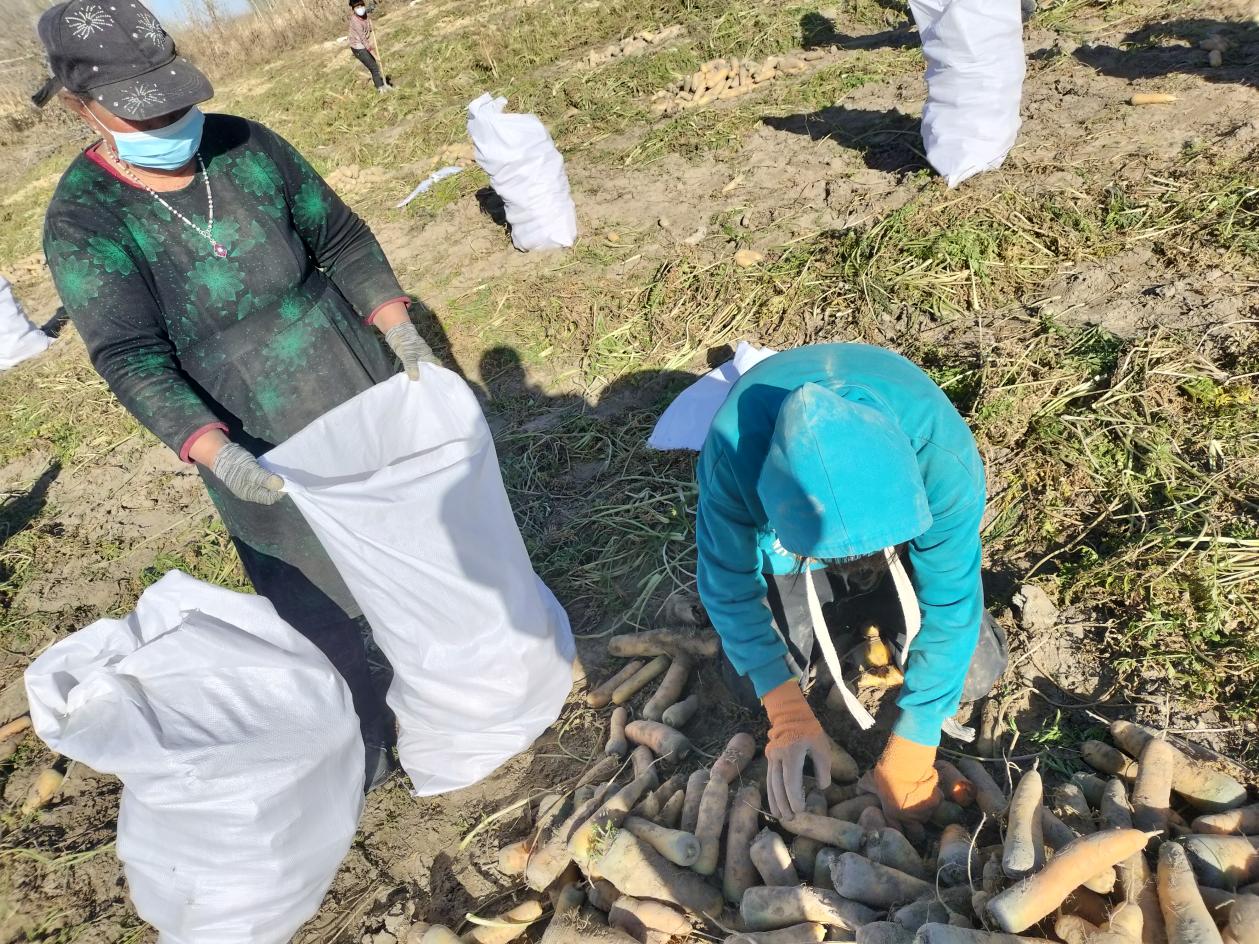 微信图片_20221123171538