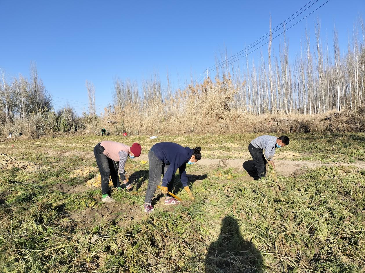 微信图片_20221123171618