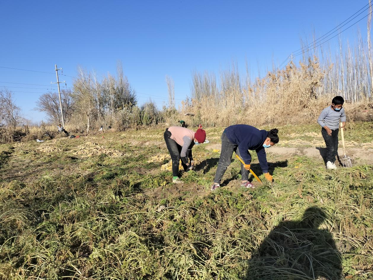微信图片_20221123171634