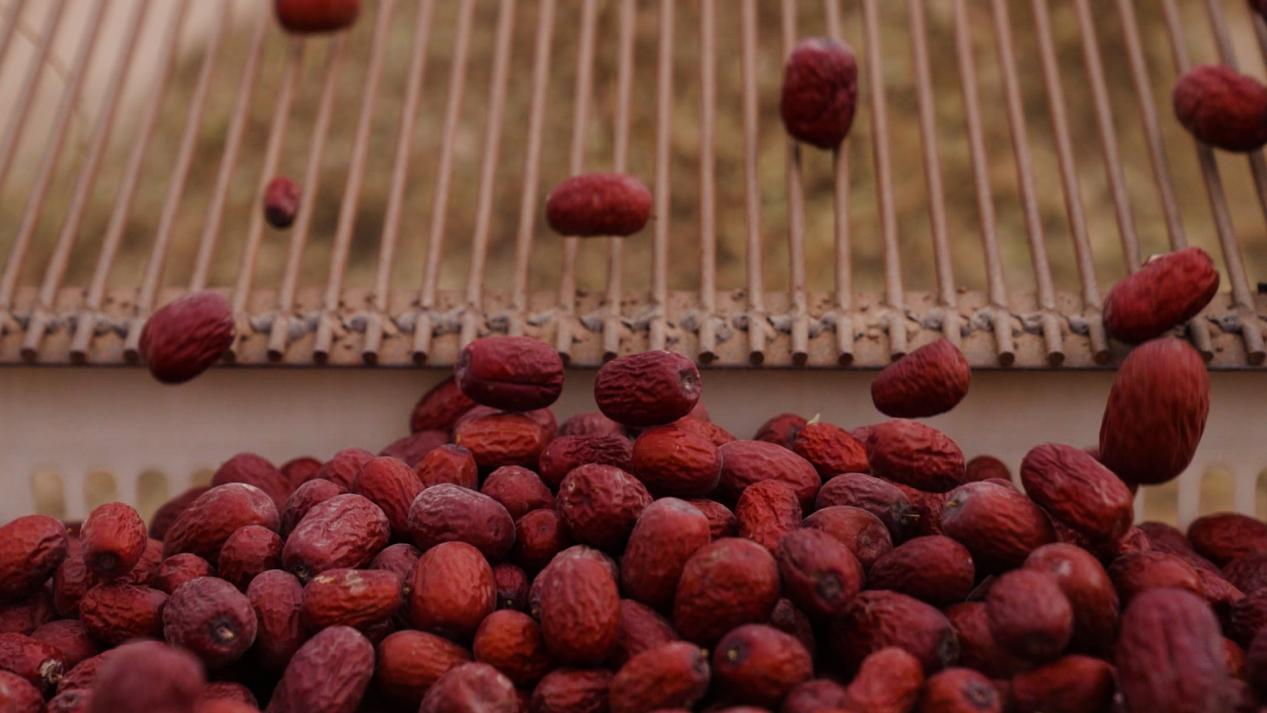 cd0ebb97a86275f9c00e4bc8e1b6c51