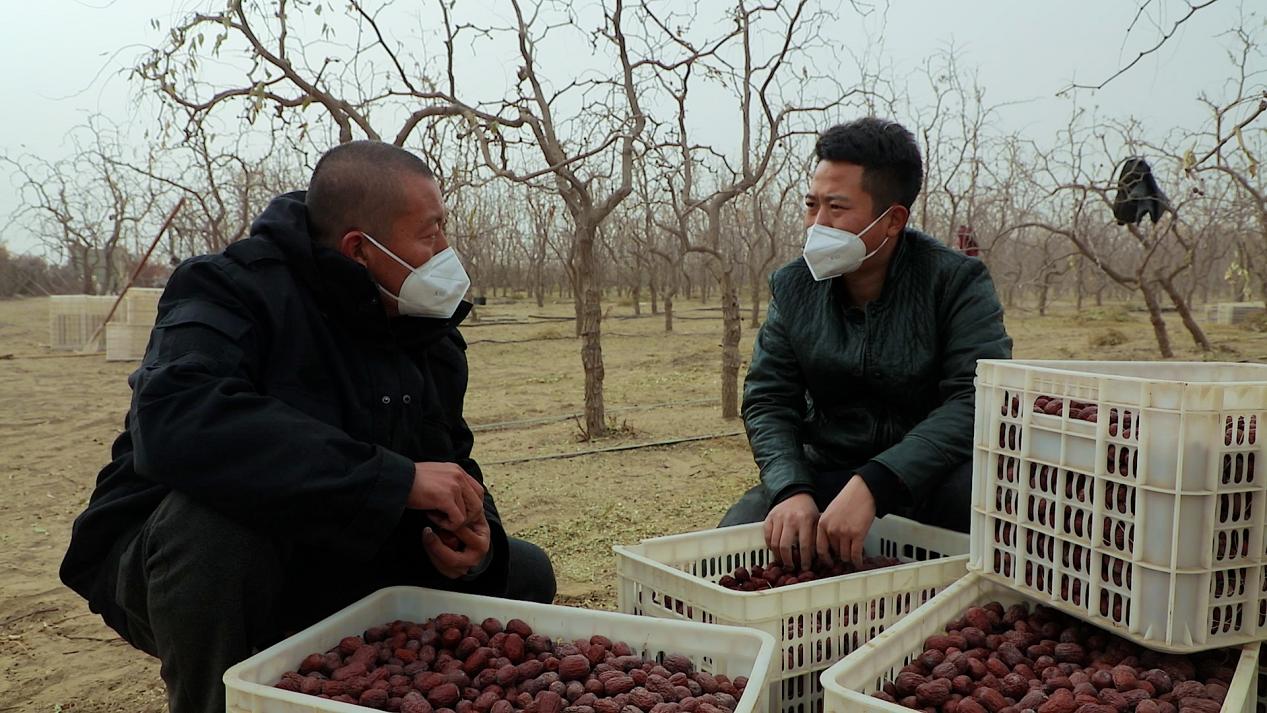 4256d9e176cc12b28fee150146f1f52