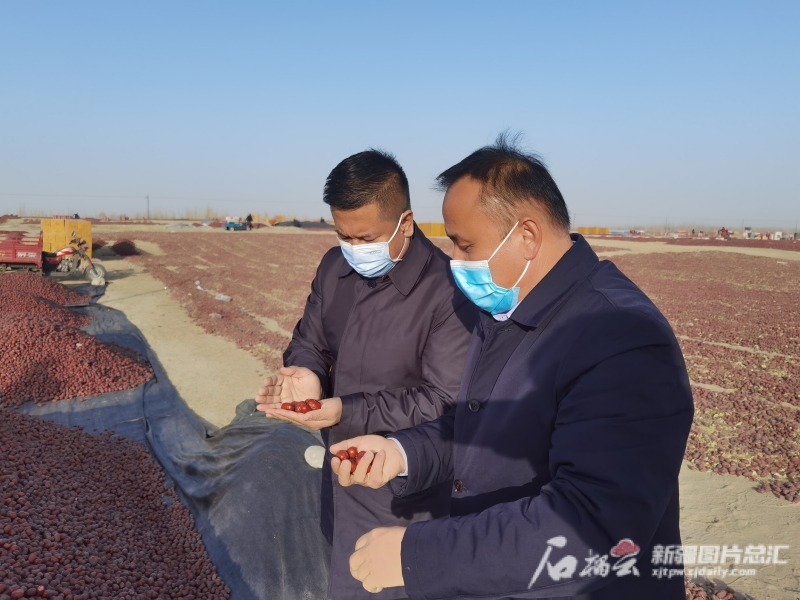 天津市对口支援策勒县前方工作组组长、策勒县委副书记董明彦(左)向红枣种植户了解红枣种植情况。图片由天津援疆提供