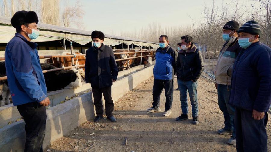 5d1cc3c84c73cfcf2daa6f98f3b847f