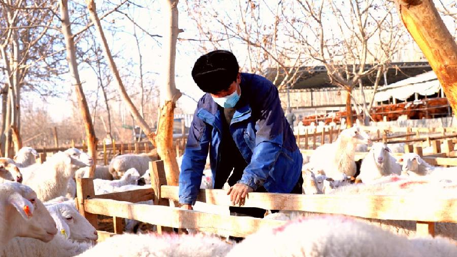 db1d2b5244d814a873ea0d788c2620f