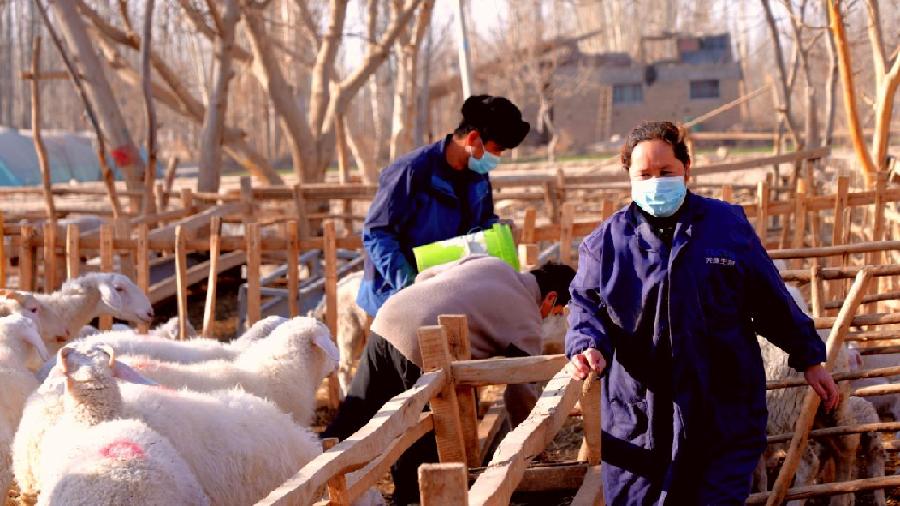 3c946cd43ab5ccae7739964676bf43e