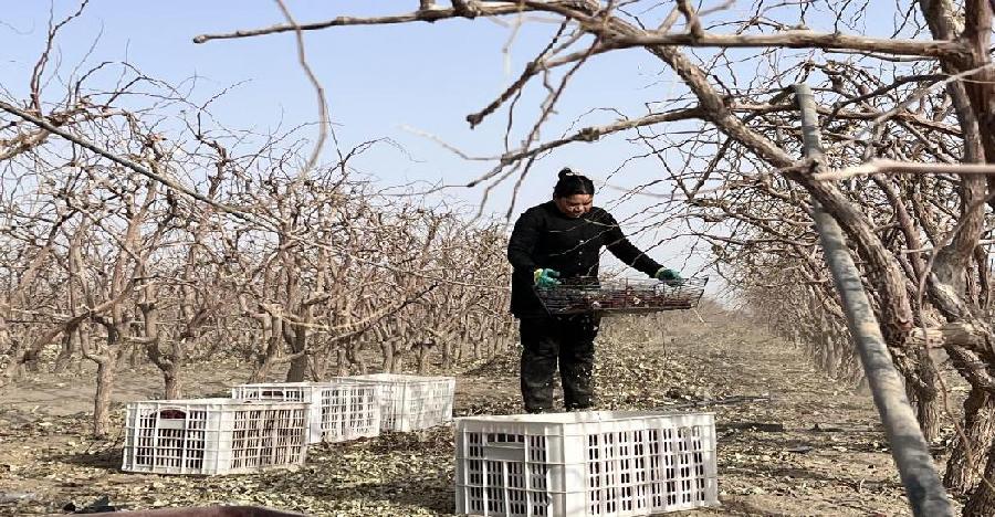 4e1cb5577e64c2b92ca626c427474a0