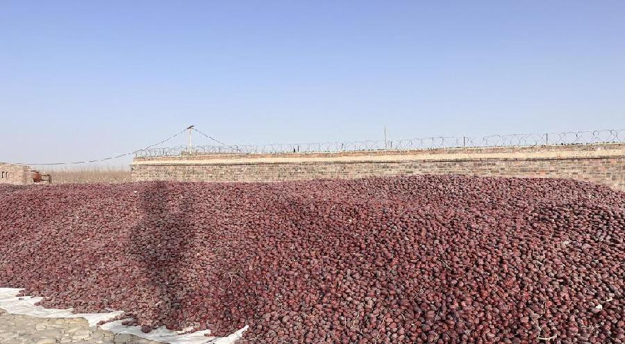 b0eee023c5f15506414902cdd8cd3aa