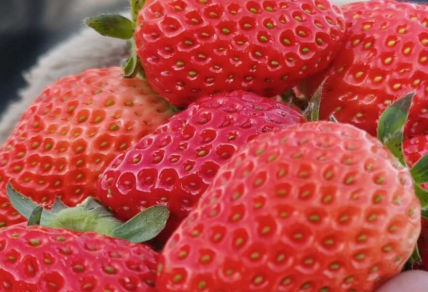 3919d7bcf0185c9189233e8a7adbcdb