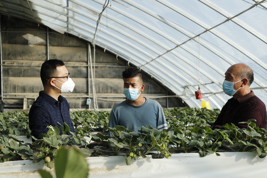 65947dbf8818103423fc6fa21fd3408