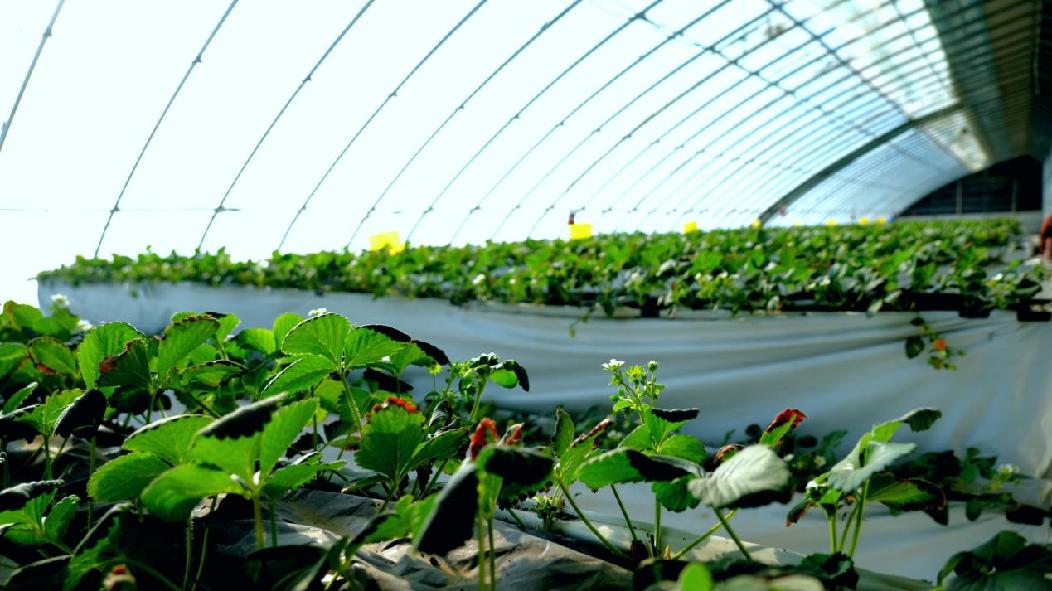 f10de2d4efdc0d4209f2afafcd282fa