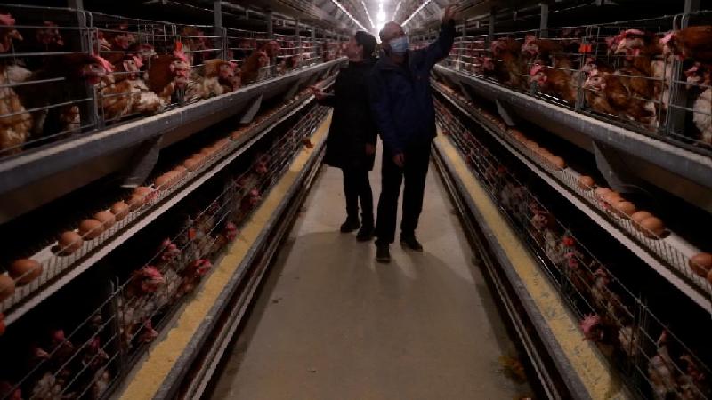 微信图片_20221221121526