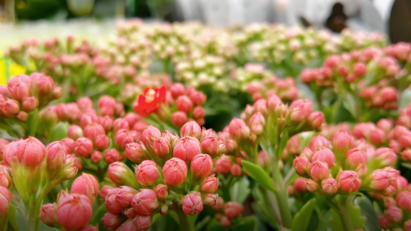 QQ图片20221227005828