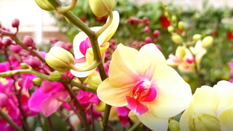 Y8R91]CJ4(GO@92UM9RBH)D