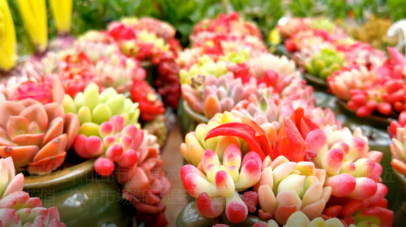 QQ图片20221227005834